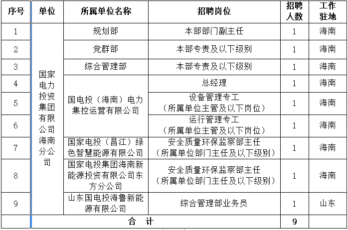 國家電力投資集團有限公司海南分公司社會招聘公告(圖1)